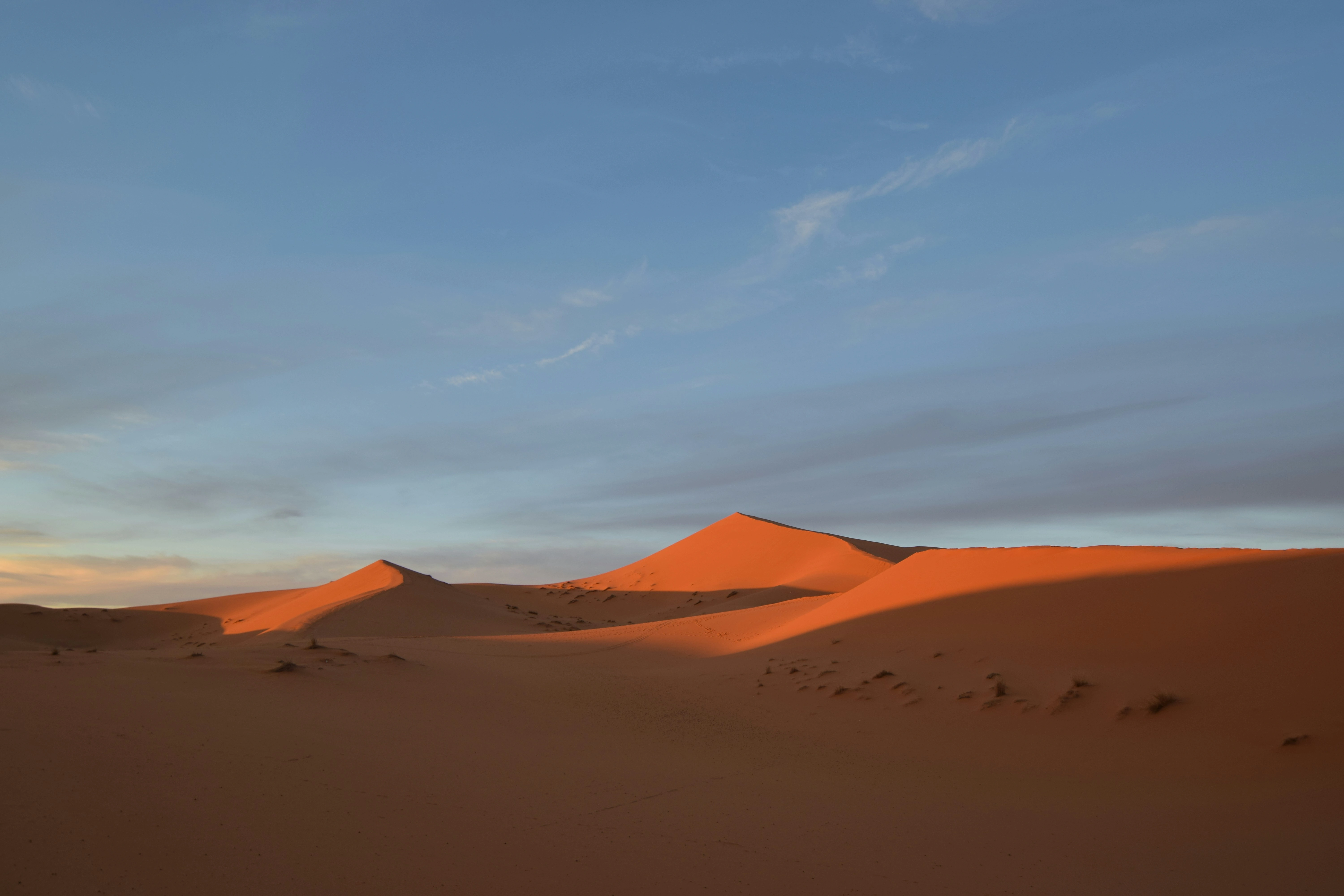 Desert Safari